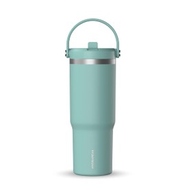 Hydrapeak Nomad 32 oz Tumbler with Handle and Straw Lid, Leakproof Tumbler, Tumbler Lid Straw, Double Insulated Tumblers, 32oz Double Insulated Cup Straw, Stainless Steel (Pale Sage)