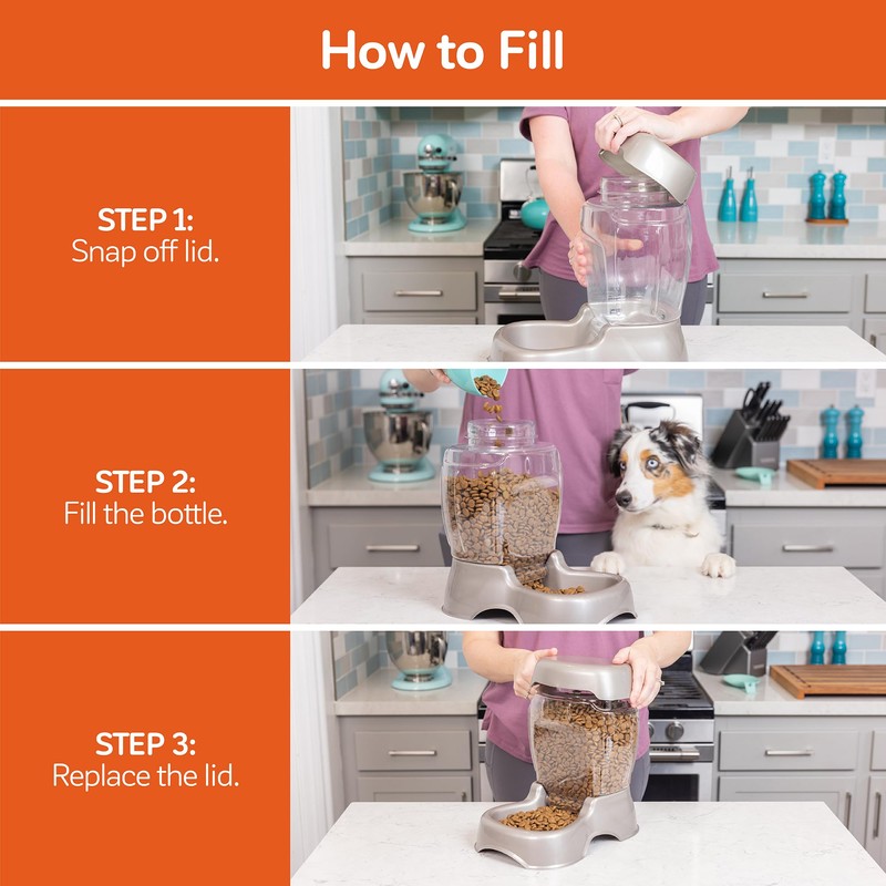 Petmate Pet Cafe Feeder Dog and Cat Feeder Pearlescent Colors