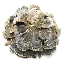 (자연초)국산 운지버섯 구름 버섯 300g Natural Korean Turkey Tail Mushroom 300g