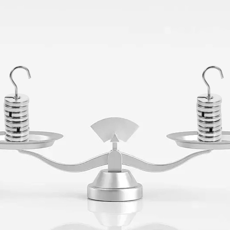 NIYANGLE 2 Sets Lab Slotted Weights Set with Hanger 100g-500g