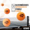 GEWO Table Tennis Balls Training 40+ - 3 Star Table