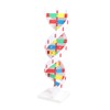 DNA Structure Model Colorful Double Spiral Assemble Model Science Educational