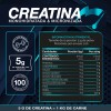 Creatina monohidratada micronizada 500g sin sabor Testo Rocket pre workout