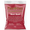 Red Beet Root Powder 5 lbs. Bulk Beta Vulgaris Nitric