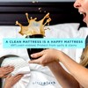 UltraPlush King Waterproof Mattress Protector - Bedwetting, Bed Cover