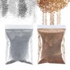 100 g Glitter Powder Set, Festival Glitter Sequins, Glitter Powder,