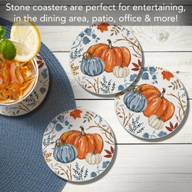 Thirstystone Autumn Pumpkins 4 Pack Round Absorbent Stone Coasters with Protective Cork Backing Manufactured in The USA Artistic Absorbent Easily Wipes Clean