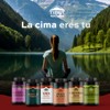 TIBET NATURA - Schizandra - 60 Cápsulas 500 mg c/u