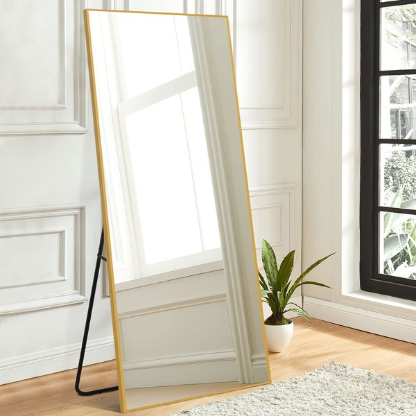 NeuType Full Length Mirror, 64" x 21" Aluminum Alloy Frame