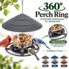 Hanging Bird Feeder for Wild Birds – Gazebo-Style Plastic Seed
