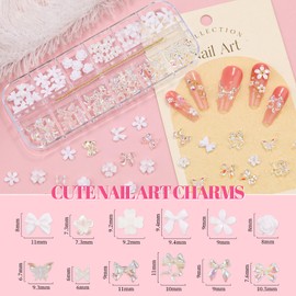2 Boxes Assorted Nail Charms and Gems, White Flower Nail Charms Aurora Bow Metal Butterfly Crystal AB Clear Gemstones Silver/Gold Caviar Beads White Pearls Glass Bubble with Nail Chain (9-S2-Mixed6)