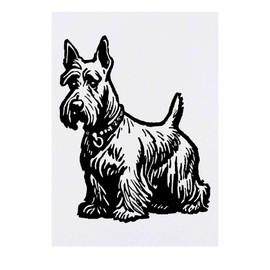Azeeda 'Scottish Terrier' Temporäres Tattoo - Hautfreundlicher & Ungiftiger Abziehbild · Wasserfest (TO00071549)