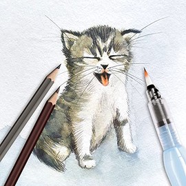 Pentel Arts Lápices de Colores Acuarelables, Mina Gruesa, Estuche con 12 Piezas, CB9-12-EST