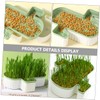 Gatuida 2pcs Hydroponic Cat Grass Box Soilless Planting Pot for