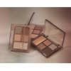 The good the good Late Autumn Shading Eyeshadow Daily Makeup