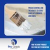 10 Pack Pro-Grade Premium Wall/Trim House Paint Brush Set Great