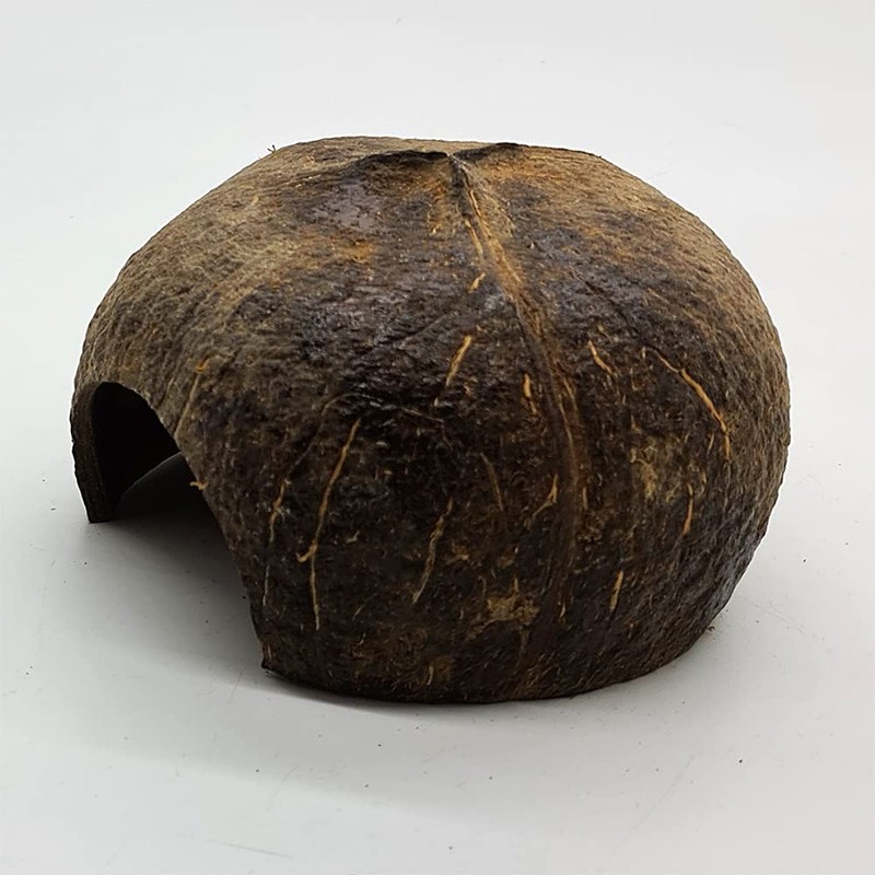 VIE Naturals Coconut Hut