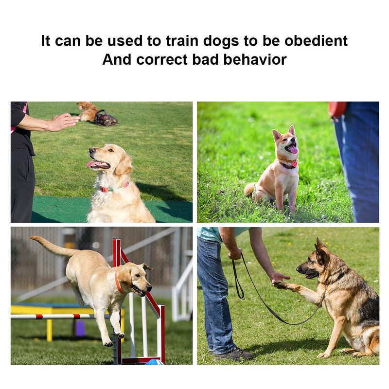 Dog Training Clickers, Whistles and Lanyards - Dog Training Accessories