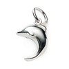 Leger T25 Dolphin Dolphin Pendant, Titanium Top, Made in Japan,