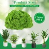 Anglekai 17.6 oz Artificial Moss for Crafts, Decorative Artificial Fake