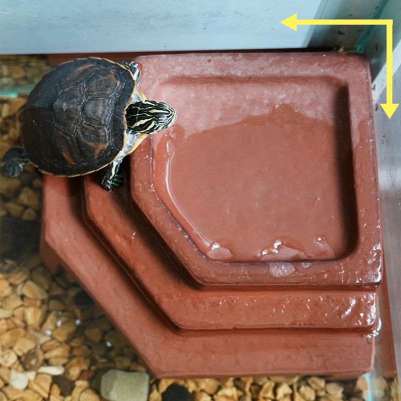 Flushbay Reptile Habitat Décor Hideouts Basking Platform with Ramp for