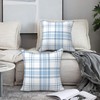Mondiafy 2 Pack Throw Pillow Covers Soft Touch Plush 18x18
