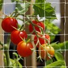 Tcamp Heavy-Duty Polyester Plant Trellis Netting 5 x 15ft (1