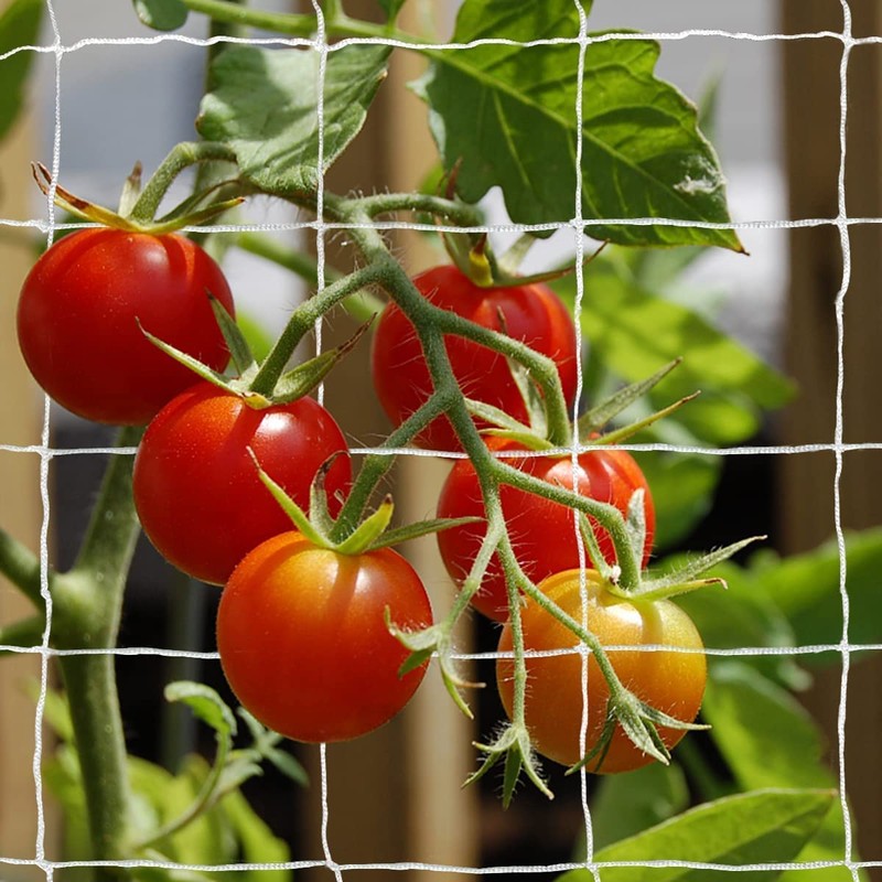 Tcamp Heavy-Duty Polyester Plant Trellis Netting 5 x 15ft (1