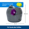 PetSafe PetSafe Ersatz-Schaumfilter f1r Drinkwell Keramik- & Edelstahl-Trinkbrunnen 360, H?lt