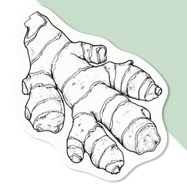 4 x Small 50mm 'Ginger Root' Permanent Sticker Decals for Cars/Windows/Bins/Walls etc (DW00138164)