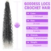 Goddess Locs Crochet Hair 24inch 9 Packs TGrey Boho Faux