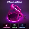 PcEoTllar Light Up Dog Harness, LED Dog Harness for Puppy