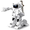 Battle RC Robot 2.4G Body Sense Remote Control Interactive Boxing