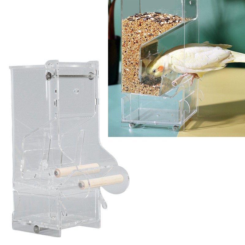 Automatic Parrot Feeder Prevent Spillage and Splashing Easy Installation Acrylic