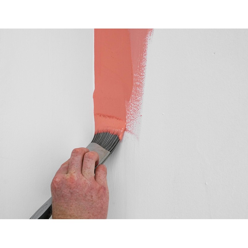ROLLINGDOG Cutting in Paint Brush - 2.5" Angled Paint Brush