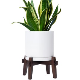 D'vine Dev Ceramic Planter with Wood Stand - 8 Inch Mid Century Modern Cylinder Indoor Plant Pot Set for Indoor Plants & Flowers, White, 55-A-Y-1