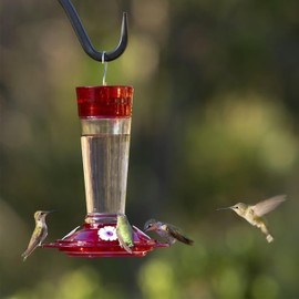 More Birds More Birds Bird Health+ Ruby Hummingbird Feeder, Glass Hummingbird Feeders for Outdoors, 4 Feeding Stations, 10 Ounces, Ruby Red