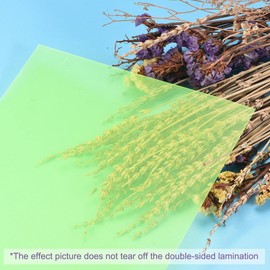 sourcing map Pack of 4 Colour Films Gel Coloured Film Heat Resistant Transparent Colours for LED Light Headlight Photo Studio Flash Party Decorate DIY Light Green