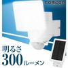 comcon CLS-100 CLS-100 Solar Sensor Light, 1-Light Motion Sensor Light,