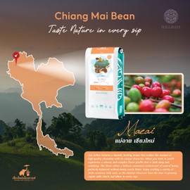 Hillkoff Coffee Beans from Northern Thai Arabica 100% Doi Mae Ai Whole Beans Coffee 8.8 Oz Thai Product