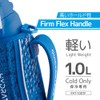 Thermos FHT-1001F BLSL Vacuum Insulated Sports Bottle, 33.8 fl oz