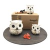 SusggO Set of 3 Decorative Wooden Owls, Decoration, Hand-Carved, Lucky