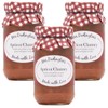 Generic Mrs Darlington's Apricot Chutney - 312g - Pack of