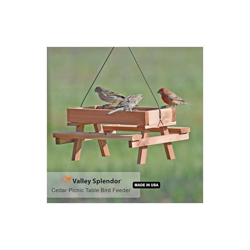 Cedar Picnic Table Bird Feeder - Made in USA