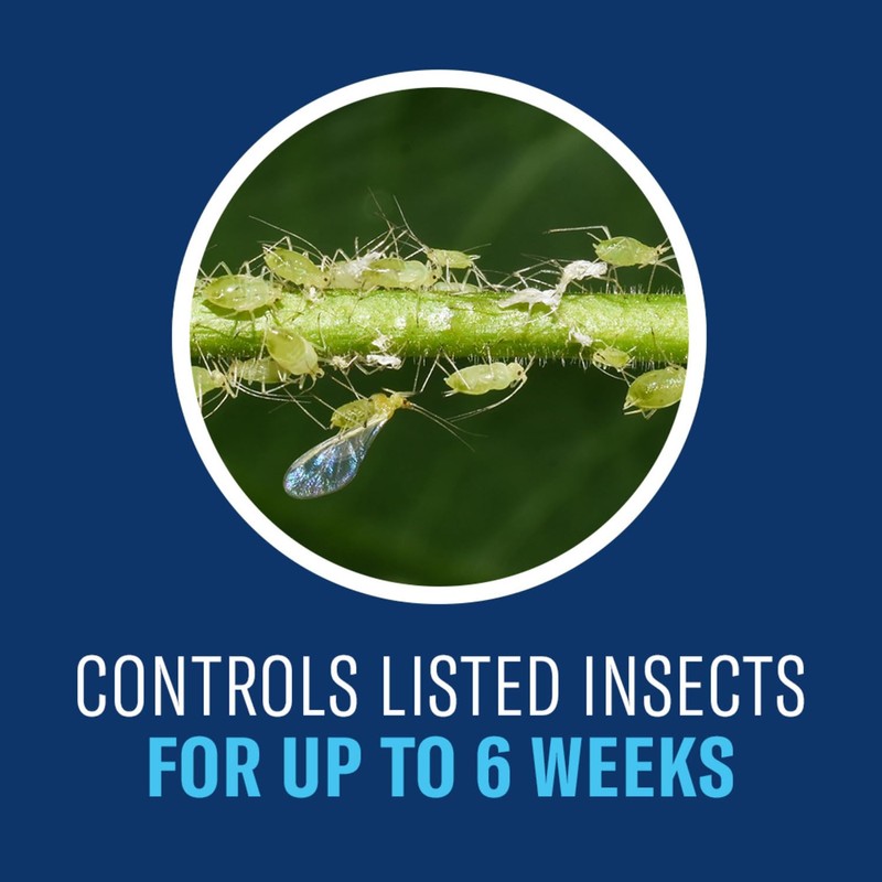 BioAdvanced Tree and Shrub Insect Killer, Concentrate, 32Oz