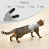 Cat Harness and Leash for Walking Escape Proof Breathable Mesh