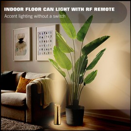 Fulanzaren Uplighting Indoor Spotlight with CCT Remote Control, 6W 2700K-6500K Adjustable Floor Light Can Lights Indoor, Accent Lighting Spot Lights for Plant Picture Home, 5.9FT US Plug Cord 1 Pack