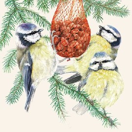 Ambiente Papierservietten - Servietten Lunch / Party / ca. 33x33cm Dinner Time - Weihnachten - Ideal Als Geschenk Und Tisch-Deko