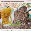 Esponja Natural de Lufa Ecológica para Platos y Cocina (5