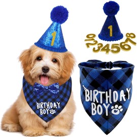 Dog Birthday Party Set,Dog Birthday Party Accessories Cute with Cute Dog Bow Dog Birthday Crown Hat with Numbers Birthday Gift,Dog Birthday Decoration for Small Medium Large Dogs (Blue)